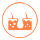 pro-icon2.png pro-icon2.png