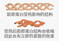 画板 1.png