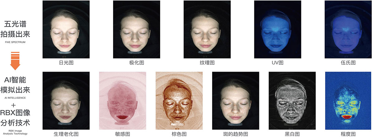图片22的副本.jpg