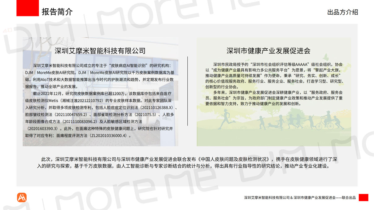 MoreMeAI智能统计白皮书v12（带水印）_04.jpg
