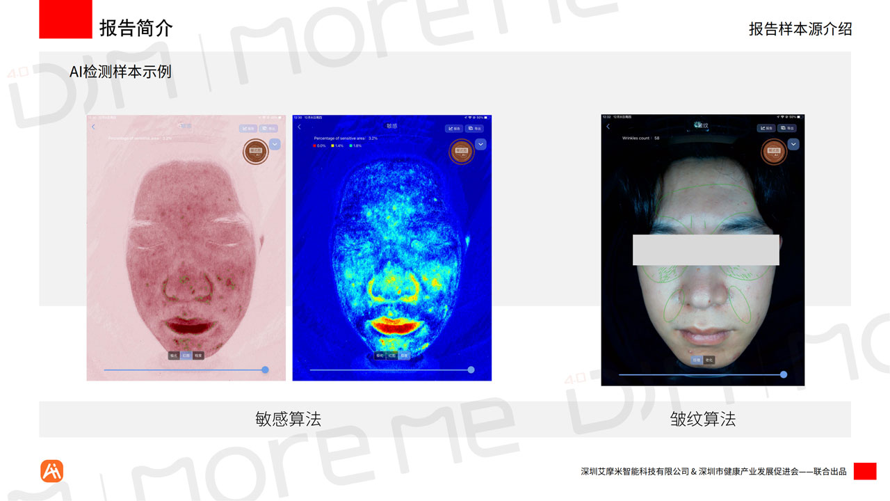 MoreMeAI智能统计白皮书v12（带水印）_07.jpg