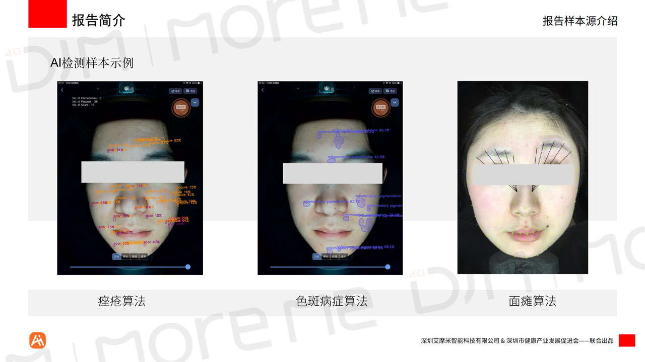 MoreMeAI智能统计白皮书v12（带水印）_09.jpg