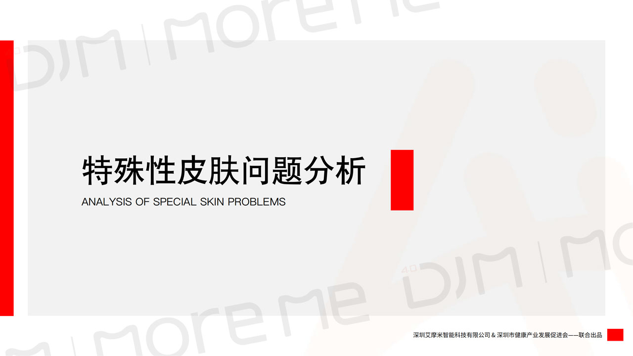 MoreMeAI智能统计白皮书v12（带水印）_27.jpg